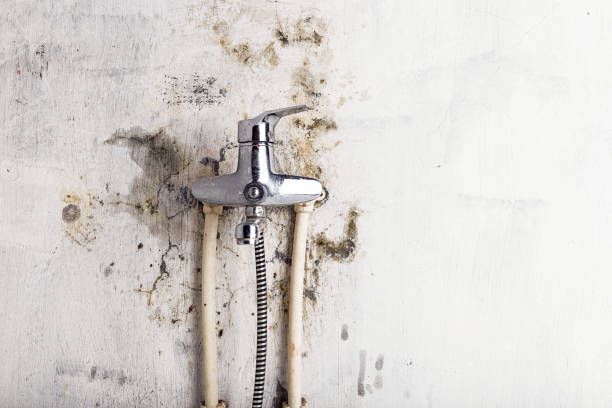 Best Health and Safety Mold Remediation in Lake Hiawatha, NJ