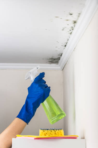 Best HVAC Mold Remediation in Lake Hiawatha, NJ